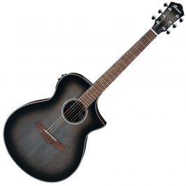 Ibanez AEWC11-TCB akustična gitara