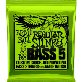 Ernie Ball Regular Slinky 45-130 2836