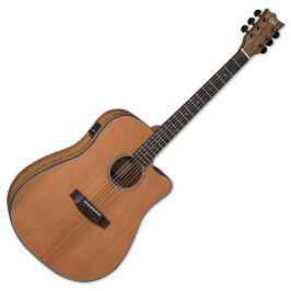 LTD D-320E NAT akustična gitara