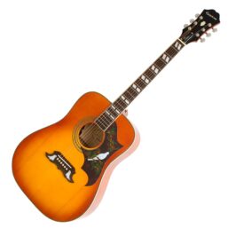 Epiphone Dove 1